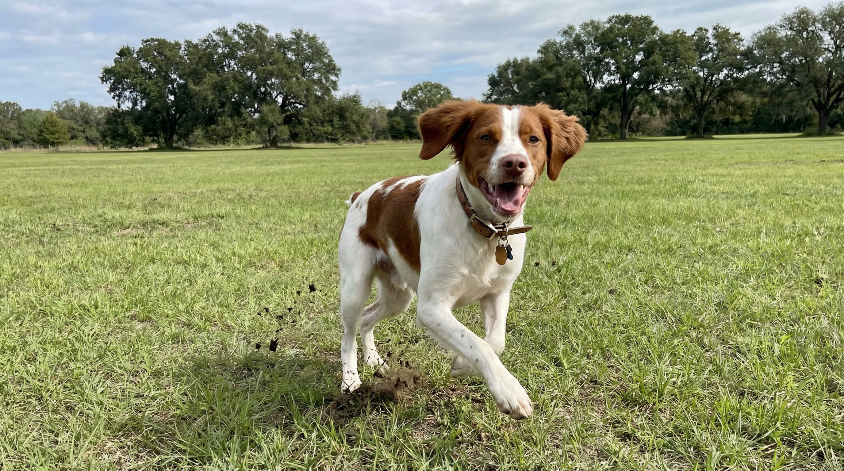 Advanced Training in Oakland Park